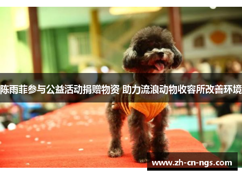 陈雨菲参与公益活动捐赠物资 助力流浪动物收容所改善环境