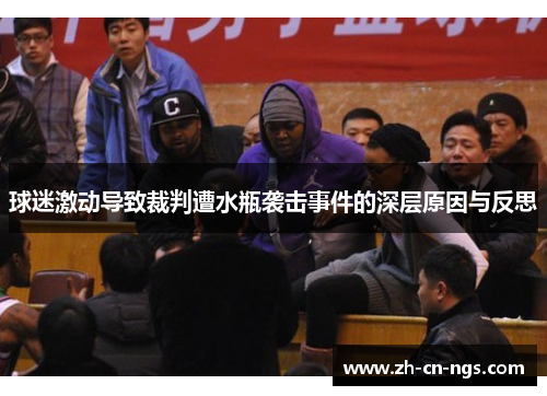 球迷激动导致裁判遭水瓶袭击事件的深层原因与反思