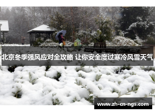 北京冬季强风应对全攻略 让你安全度过寒冷风雪天气