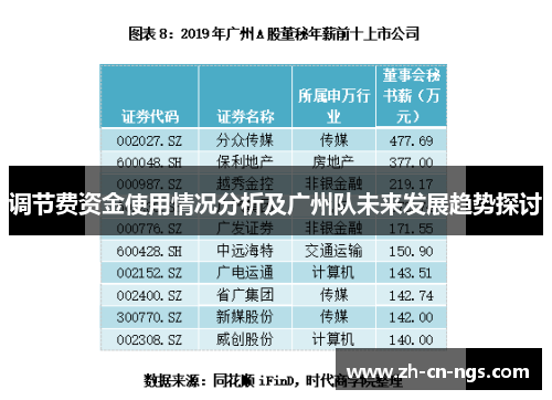 调节费资金使用情况分析及广州队未来发展趋势探讨